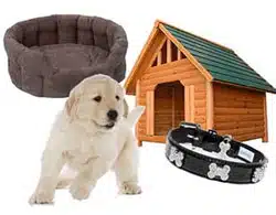 accessoires pour chiot