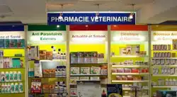 supplements-alimentaires-chiens-chats