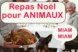 repas noel pour les animaux