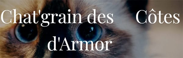 Chat’Grain des Côtes-d’Armor