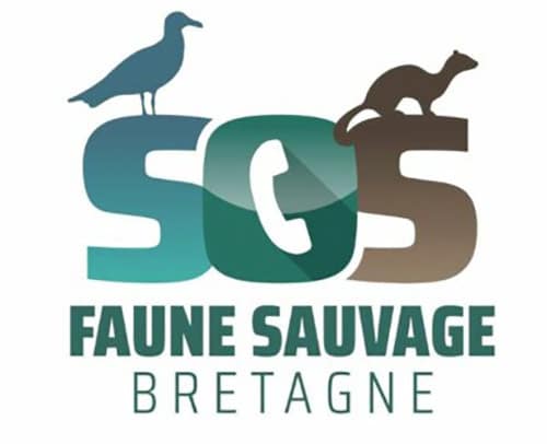 LPO Bretagne / SOS Faune Sauvage