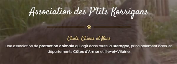 Les P’tits Korrigans refuge chats chiens nacs