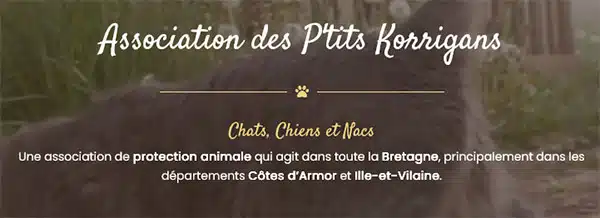 Les P’tits Korrigans refuge chats chiens nacs