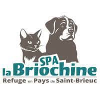 SPA la Briochine refuge Saint-Brieuc