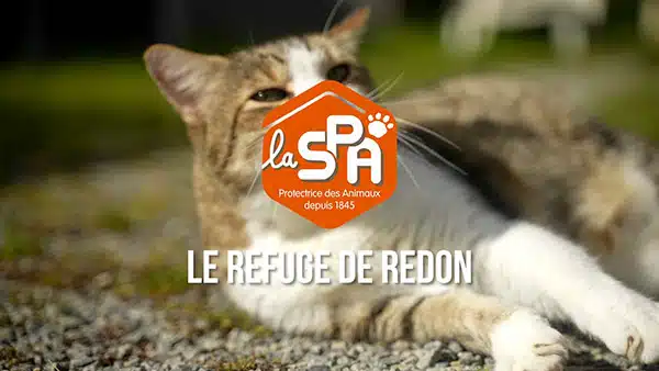 SPA de Redon