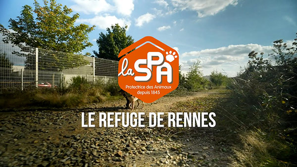 Refuge SPA de Rennes