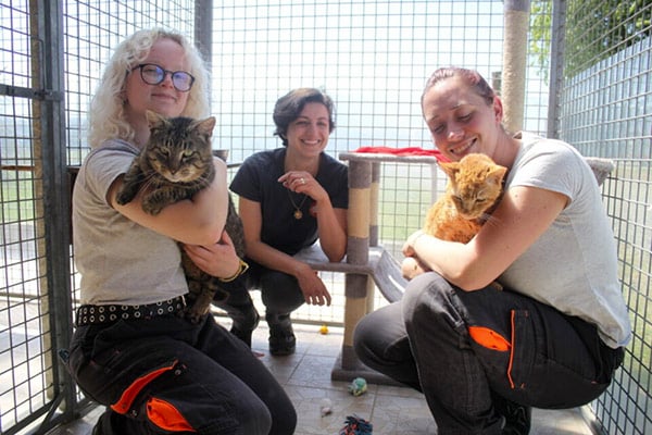 SPA de Vitré – Saint-Germain-du-Pinel