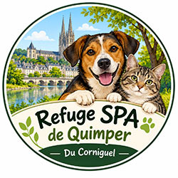 Illustration du Refuge SPA de Quimper – Du Corniguel