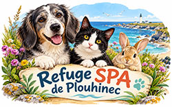 Illustration du Refuge SPA de Plouhinec dans le Finistère