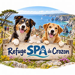 Illustration du Refuge SPA de Crozon dans le Finistère