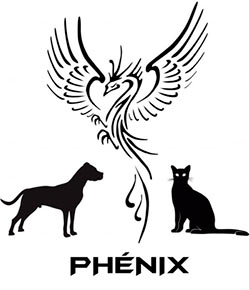 Illustration de l'Association Phénix à Brest, refuge pour chiens et chats