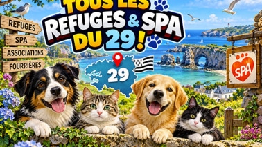 refuges et SPA finistère 29