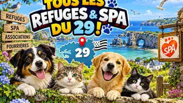 refuges et SPA finistère 29